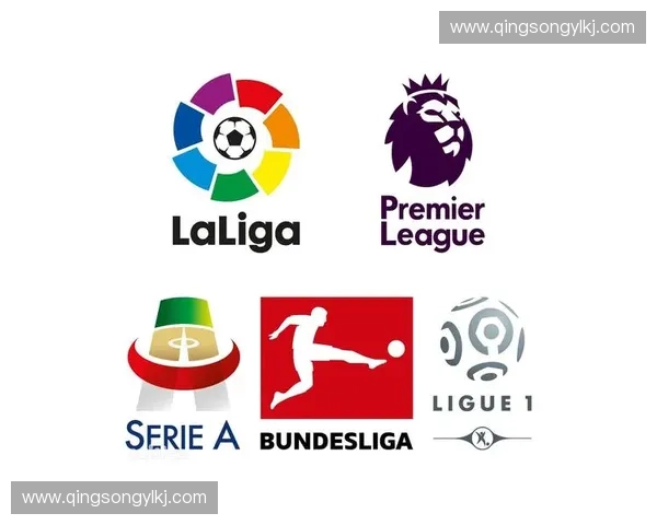 欧洲九大顶级足球联赛解析 深度剖析各国联赛特色与发展趋势 欧洲九大顶级足球联赛解析 深度剖析各国联赛特色与发展趋势